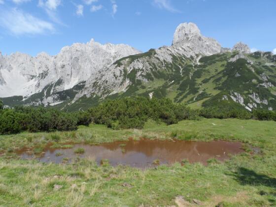 Kleiner See Losegg