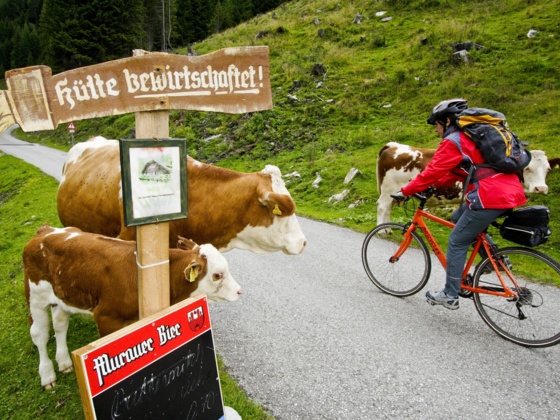 Unterwegs Richtung Murau