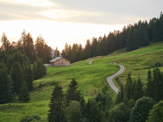 Alpe Ries in Sibratsgfäll in Abendstimmung