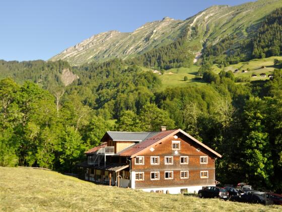 Bergheim Au im Sommer