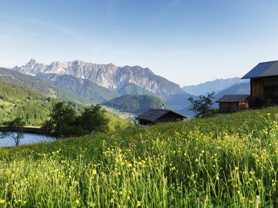 Bitschweil See