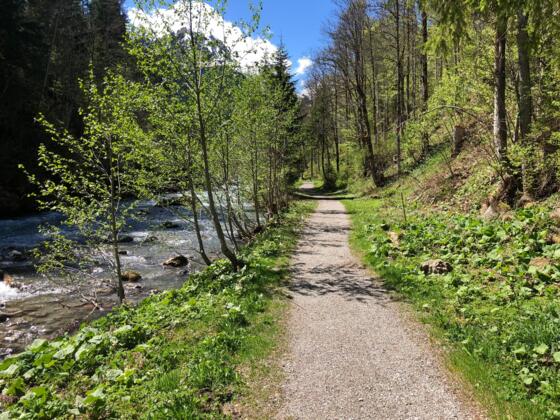 Wanderweg an der Breitach