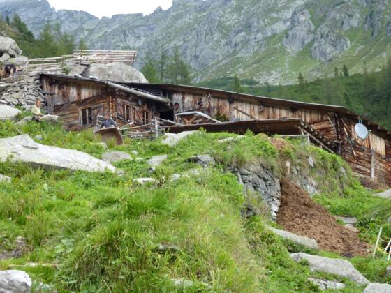 Golser Albl - Malga