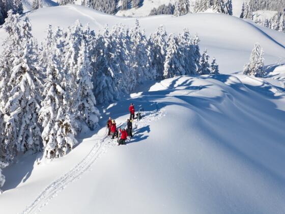 Skitour