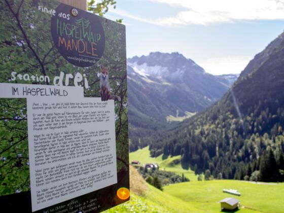 Station drei des Haspelwaldwegs