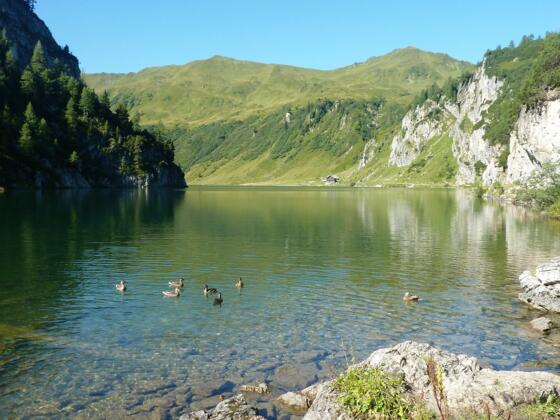 Tappenkarsee