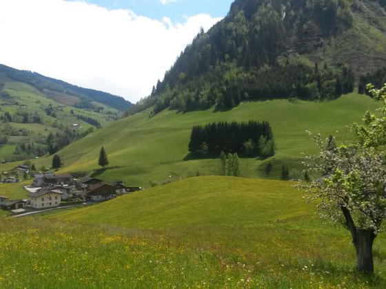Spaziergang Wörtherberg