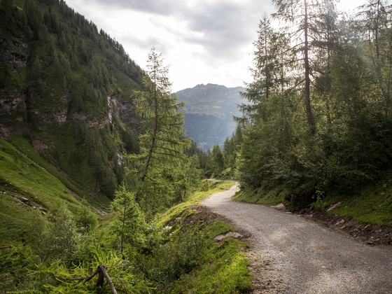 Weg in das Krumltal