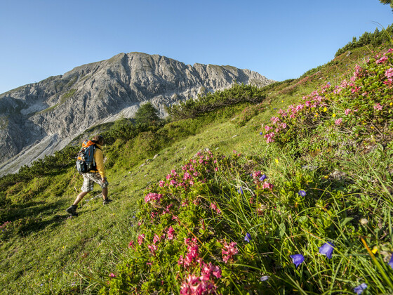 Wanderung