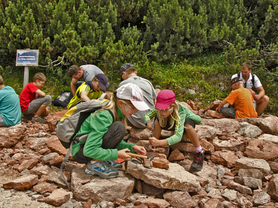 Versteinerte Korallen am Triassic Trail