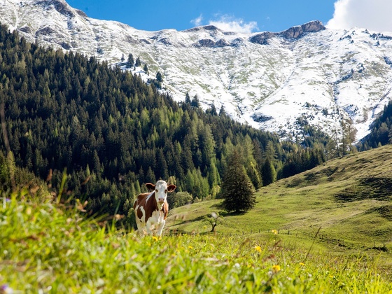 Gaisbachtal