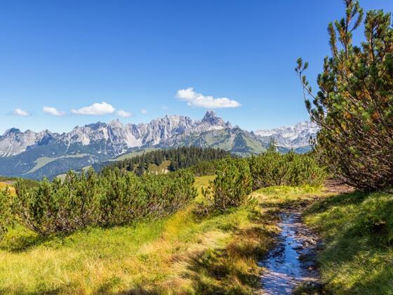 Wanderweg