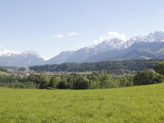 Blick auf den hohen Göll