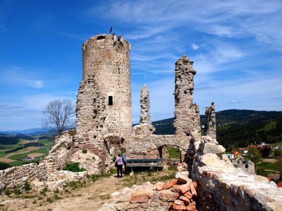 Ruinenplateau mit Turm 830 m
