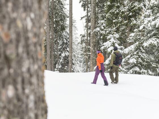 Winterwanderweg durch tief verschneite Landschaft in Sonntag-Stein