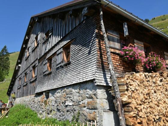 Alpe Sammere