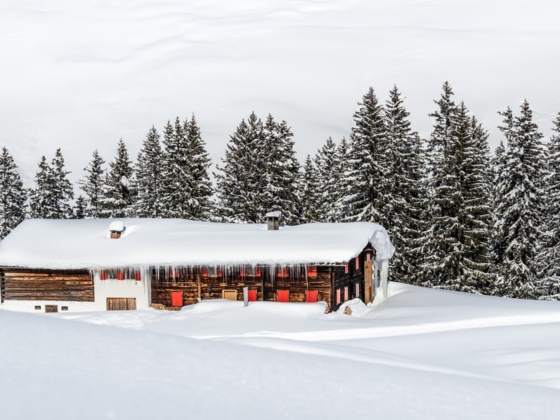 Winterwandern