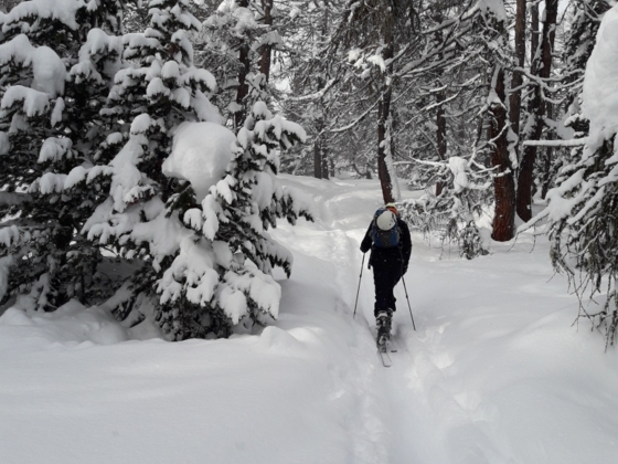 Hochwald