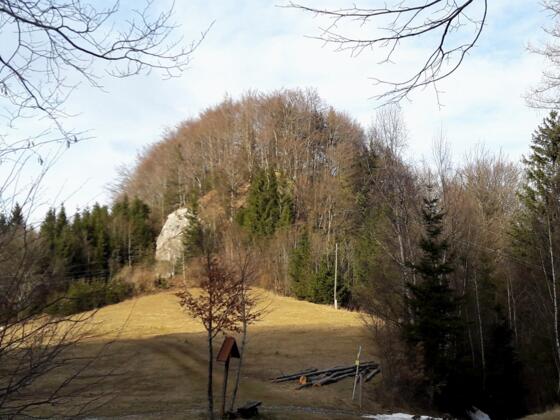 Schafkogel 739m von der Pennerhöhe