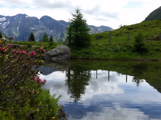 Wirpitschsee