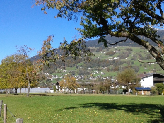 Schrunser Feld