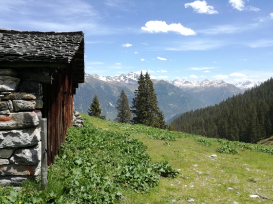 Innergweilalpe