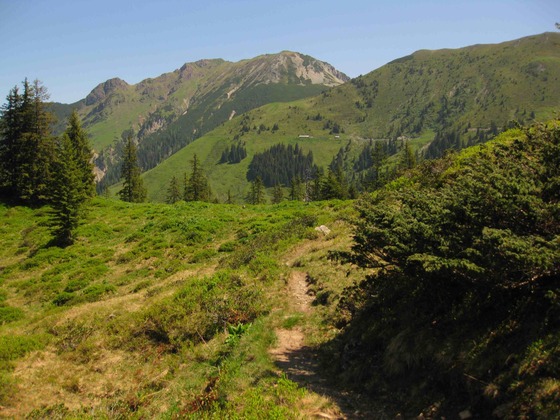 Am Fieberbrunner Höhenweg