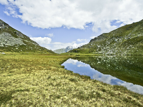 Foiskarsee