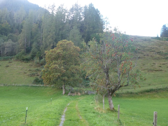 Bei Atzing