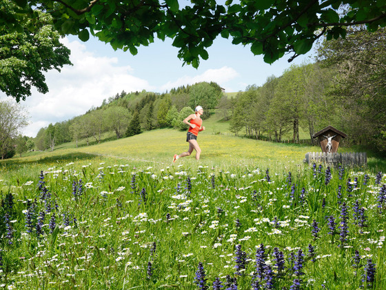 Laufen in der Natur