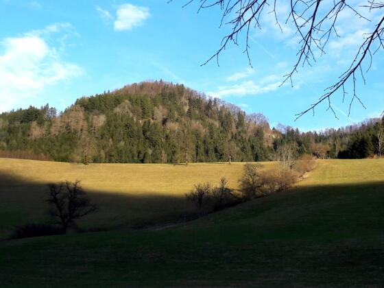 Gipfel ~708m vom P 400m