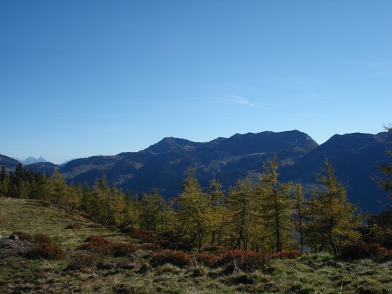 Brechhorn und Floch