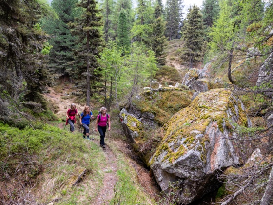 Im oberen Teil des Georg-Herholz- Weg