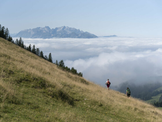 Abstieg zum Treietpass  (c) Martin Vogel / Vorarlberg Tourismus