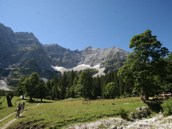 KLeiner Ahornboden