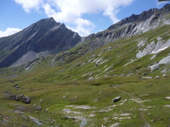 Blick zur Nussingscharte