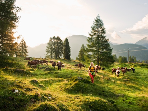 Landschaft