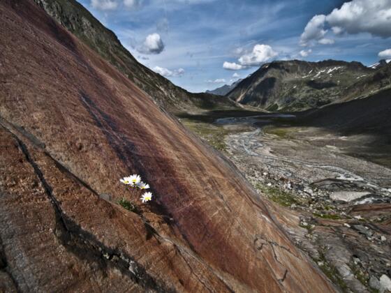 Gletscherschliff oberhalb der Sulzenauhütte