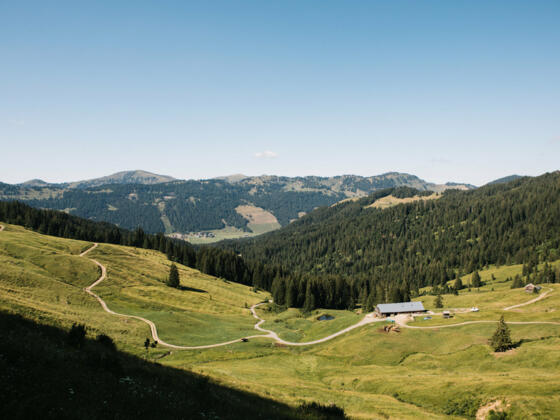 Güntle Alpe (c) Nina Bröll / Vorarlberg Tourismus