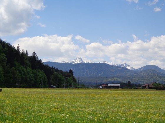 Hausbergwiesen mit Blick auf den Daniel in Lermoos