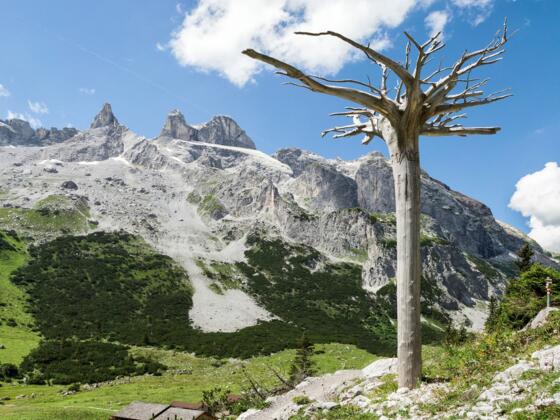Gauertaler AlpkulTour (c)  Andreas Haller -  Montafon Tourismus GmbH, Schruns.jpg