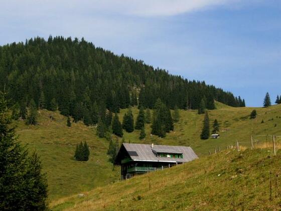 Rothofalm/Muggenfeldalm