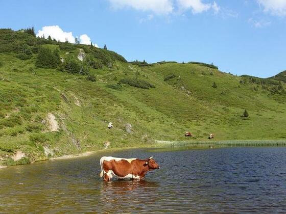 Oberer Paarsee