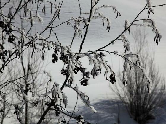 Winter im Großarltal