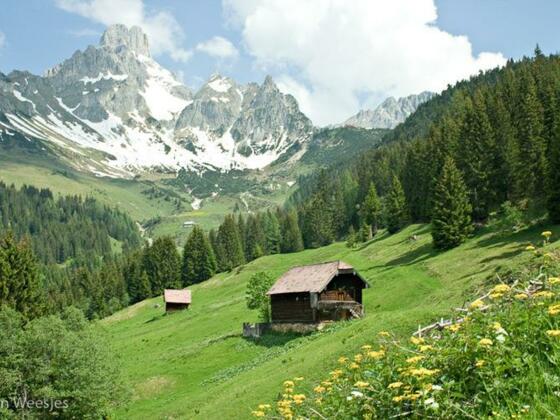 Blick auf die Bischofsmütze und Aualm