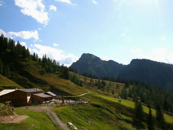 Loosbühelalm
