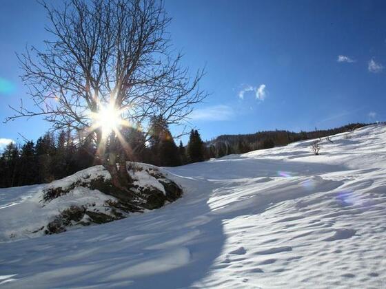 Die Sonne sucht sich einen Weg