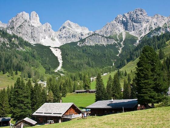 Blick von der Hofalm hinauf zur Großen Bischofsmütze