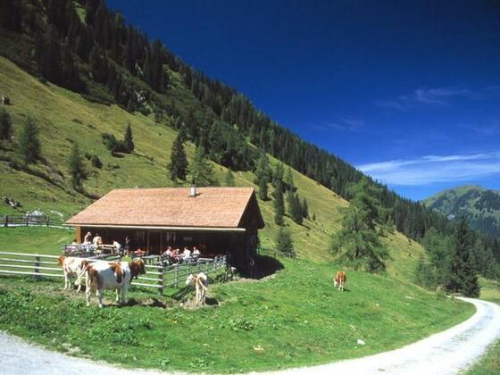 Hirschgrubenalm