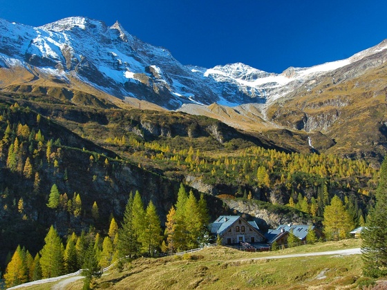 Ammererhof